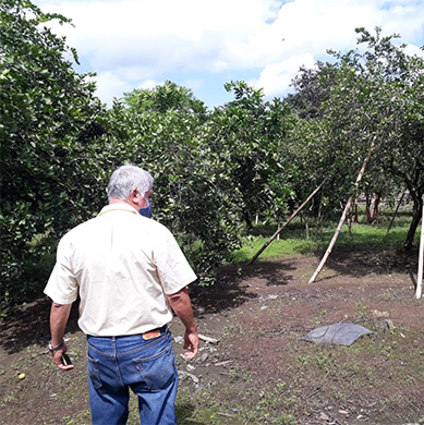 Terreno Junin - Sitio Mendoza Lote 2