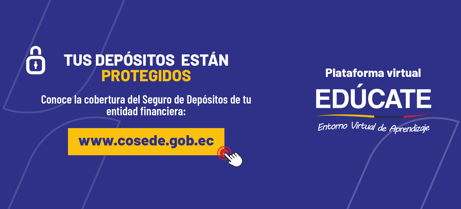 COSEDE2024