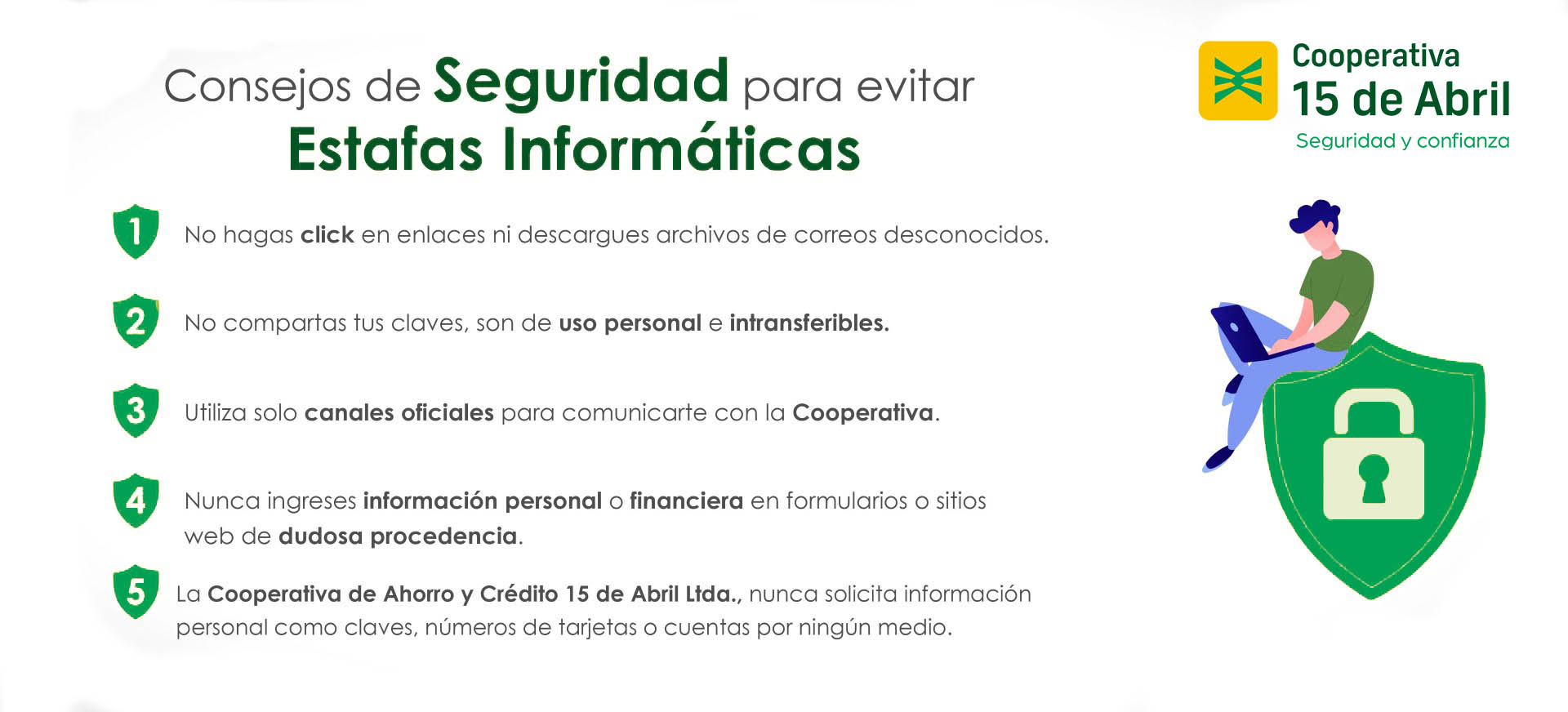 consejo seguridad